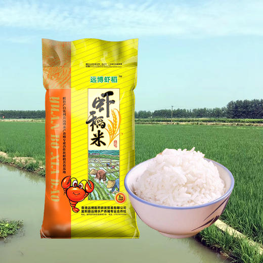 远博虾稻米实惠装5kg 商品图1