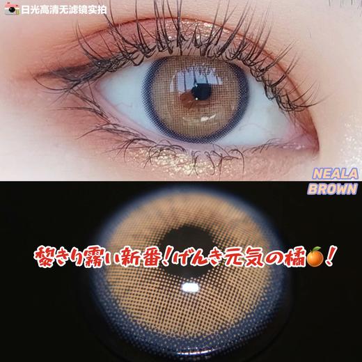 【黎雾】Neala brown小甜橙（硅水凝胶）约14.0mm【瞳孔偏大可能会挡视线，介意慎拍】【年抛】0到200度缺货 商品图2