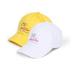 [HAWAII] SECHSKIES BALLCAP sechskies水晶男孩韩国明星周边帽子JPY带授权招加盟代理 商品缩略图0