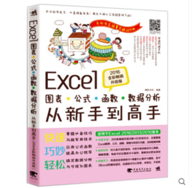 Excel 图表.公式.函数.数据分析从新手到高手2017全彩畅销升级版计算机电脑软件基础知识新手入门表格制作书籍表格函数文档制作