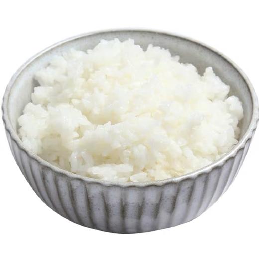越前米 日本越光大米 1kg 商品图4