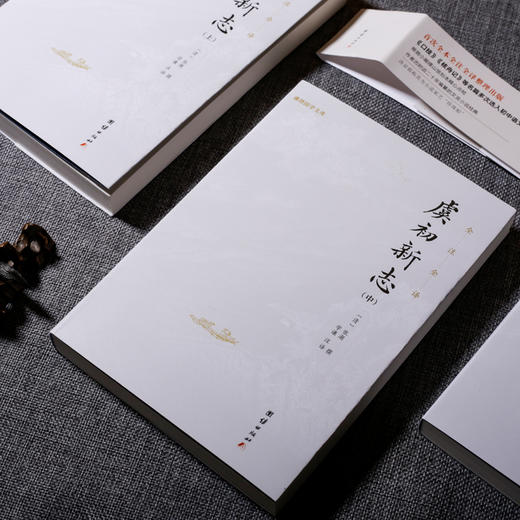 虞初新志（全本全注全译版) 商品图2