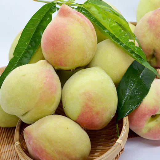 赣南鹰嘴桃脆爽可口甜蜜多汁果香馥郁