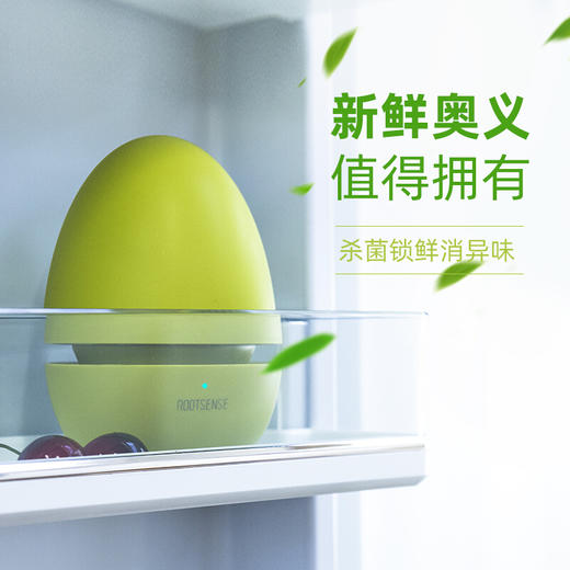 根元舌尖卫士冰箱专用杀菌净化器 保鲜除味 臭氧灭菌 除臭去异味 家用USB充电版 商品图2