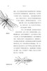 《昆虫记》 作者：[法]法布尔 著 商品缩略图5