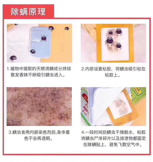 日本哼爱二代除螨贴 商品图5
