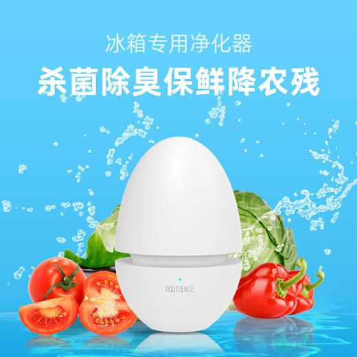 根元舌尖卫士冰箱专用杀菌净化器 保鲜除味 臭氧灭菌 除臭去异味 家用USB充电版 商品图3