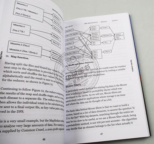 牛津通识读本 大数据 英文原版 Big Data A Very Short Introduction 计算机科学 英文版 进口原版英语书籍 商品图2