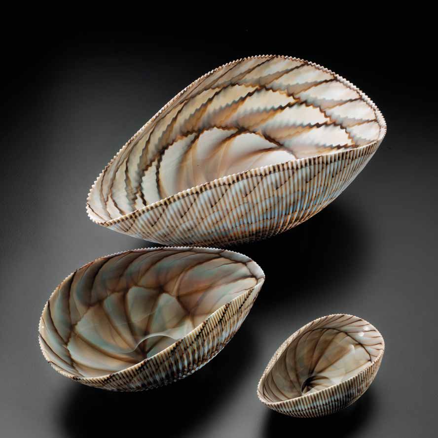 Shell-手工玻璃制品