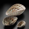 Shell-手工玻璃制品 商品缩略图0