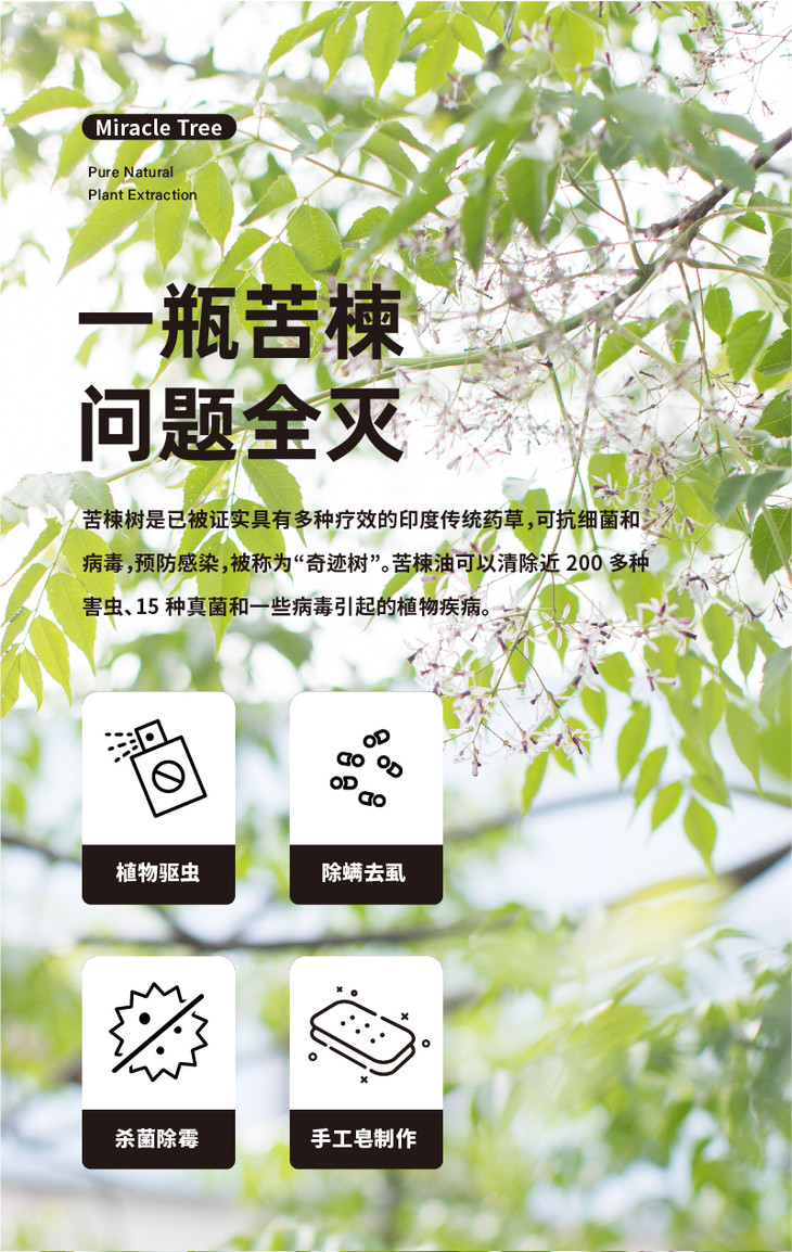 包邮印度纯天然植物驱虫苦楝油升级120ml