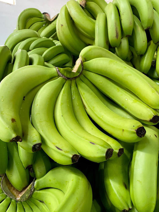 云南威廉斯香蕉九斤装一斤3-4个