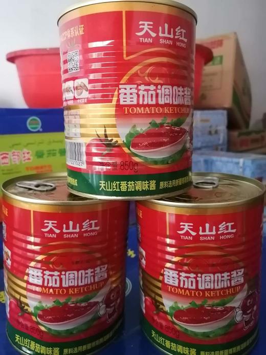 天山红调味酱850g 商品图0