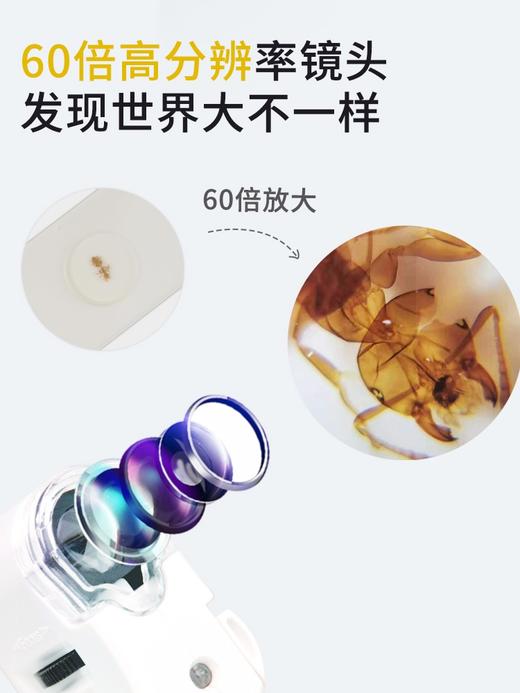 蝙蝠兔微观世界儿童便携式手机显微镜电子生物科学迷小中学生玩具 商品图2