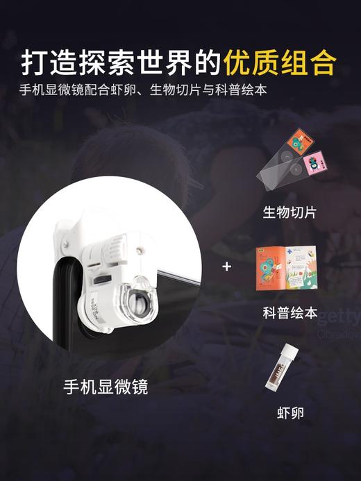 蝙蝠兔微观世界儿童便携式手机显微镜电子生物科学迷小中学生玩具 商品图1