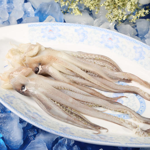 (YSD)鱿鱼须 去头 500g 商品图3