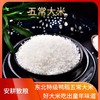 安耕致粮童年味道有机大米5kg 商品缩略图1