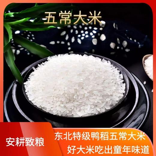 安耕致粮童年味道有机大米5kg 商品图1