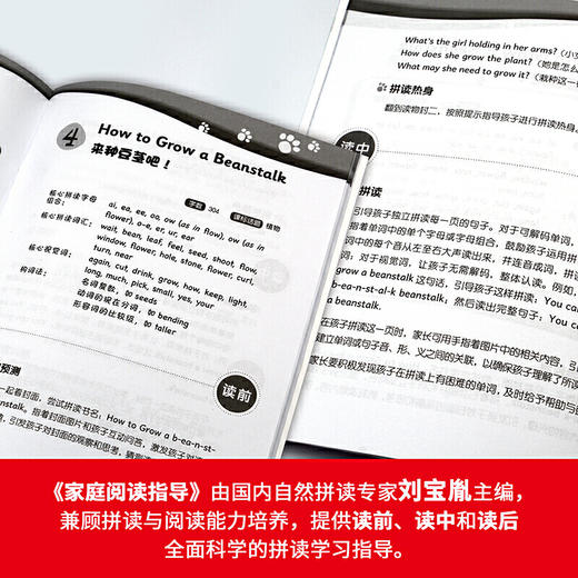 大猫自然拼读五级2 Big Cat Phonics(小学五年级） 商品图6