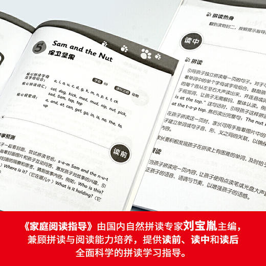 大猫自然拼读一级2 Big Cat Phonics (小学一年级） 商品图6