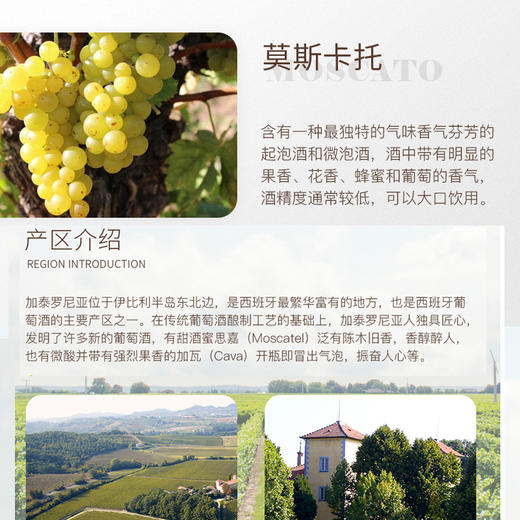斯泰勒莫斯卡托低醇甜白起泡葡萄酒 西班牙原瓶 商品图2