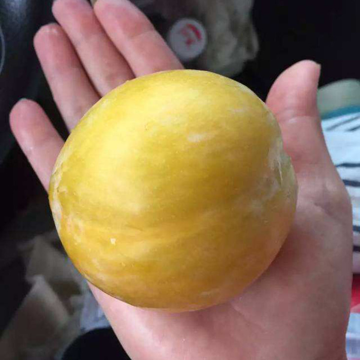 当季新鲜现摘幸运李2斤装