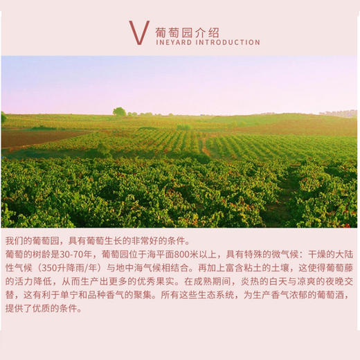 多乐姿桃红甜起泡葡萄酒 西班牙原瓶 商品图4