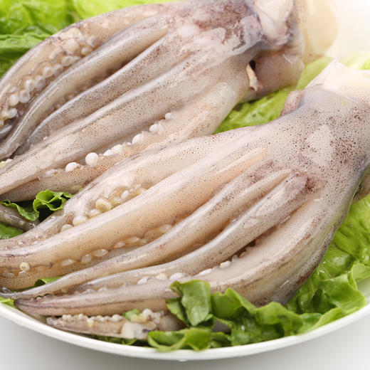 (YSD)鱿鱼须 去头 500g 商品图4