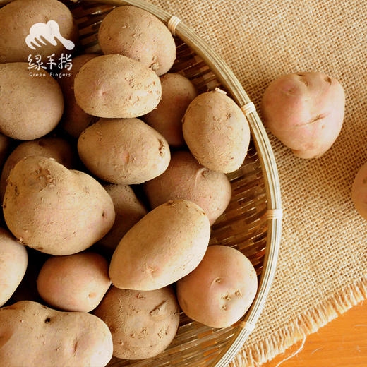 生态土豆 | 合作生产 * Eco-potato | Coproduction 商品图6