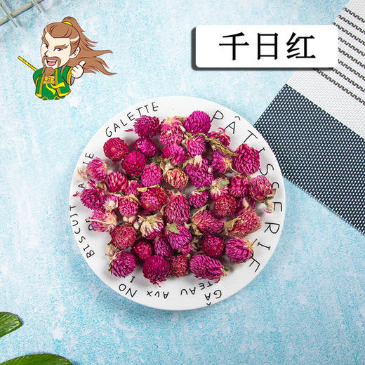 中药材批发  千日红 江苏 1000克/500克 商品图0