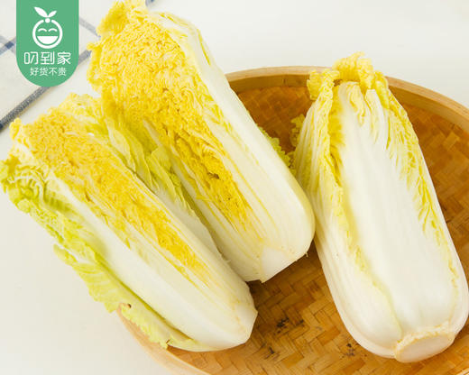 云南高山大娃娃菜（1.5kg±100g/份） 商品图3
