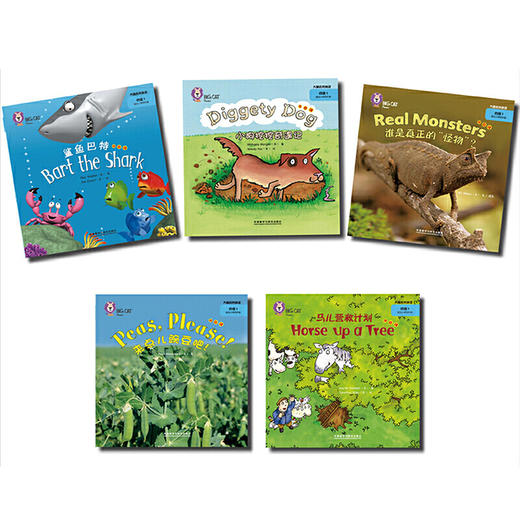 大猫自然拼读四级1 Big Cat Phonics (小学四年级） 商品图2