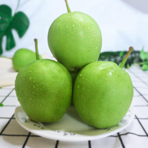 早酥梨 （2斤起售） 商品图1