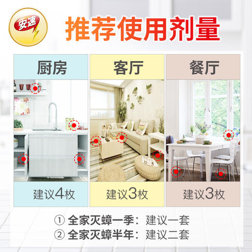 日本安速蟑螂屋5片 小强恢恢蟑螂捕捉器蟑螂药无毒克星家用全窝端 商品图1