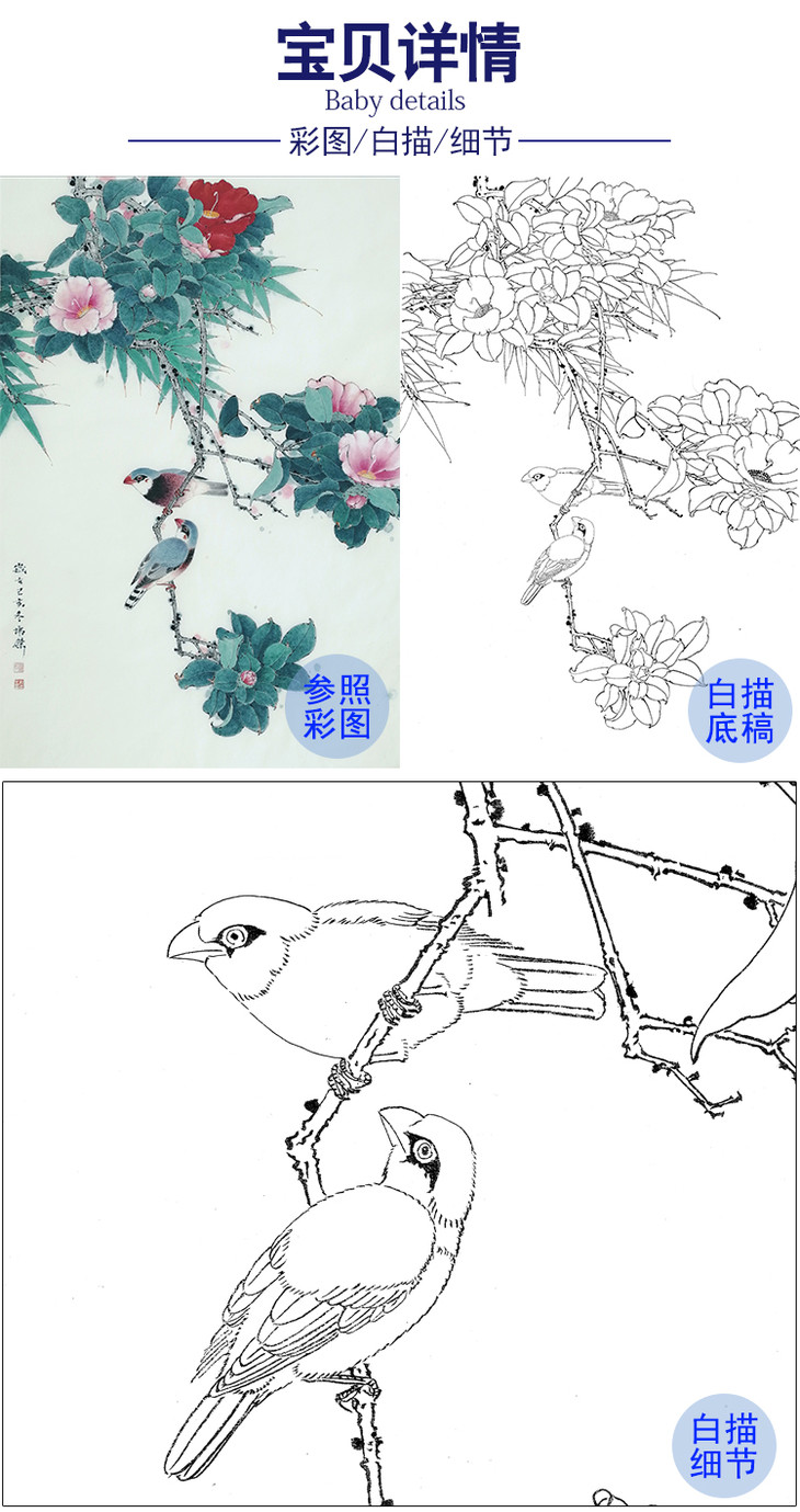 工笔画白描底稿 盘虎杰 花鸟hj25