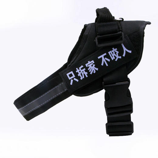 玲宠狗狗牵引绳小型犬泰迪遛狗绳中大型犬胸背带狗链宠物用品 商品图3