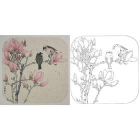 工笔画白描底稿 盘虎杰 花鸟斗方小品册页 HJ17