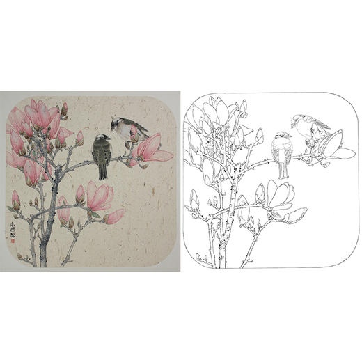 工笔画白描底稿 盘虎杰 花鸟斗方小品册页 HJ17 商品图0