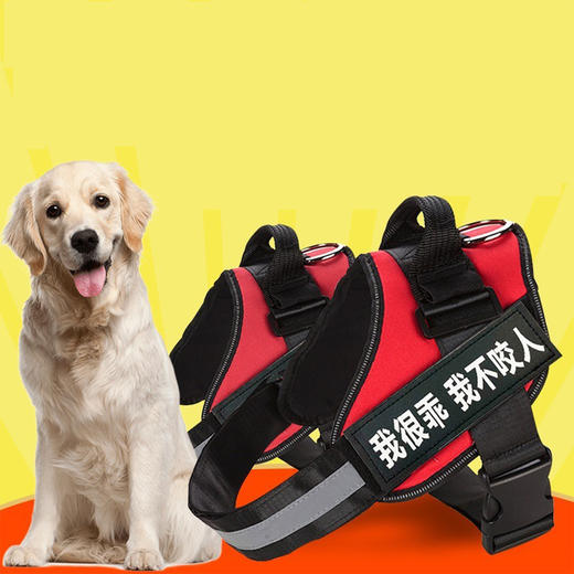 玲宠狗狗牵引绳小型犬泰迪遛狗绳中大型犬胸背带狗链宠物用品 商品图1