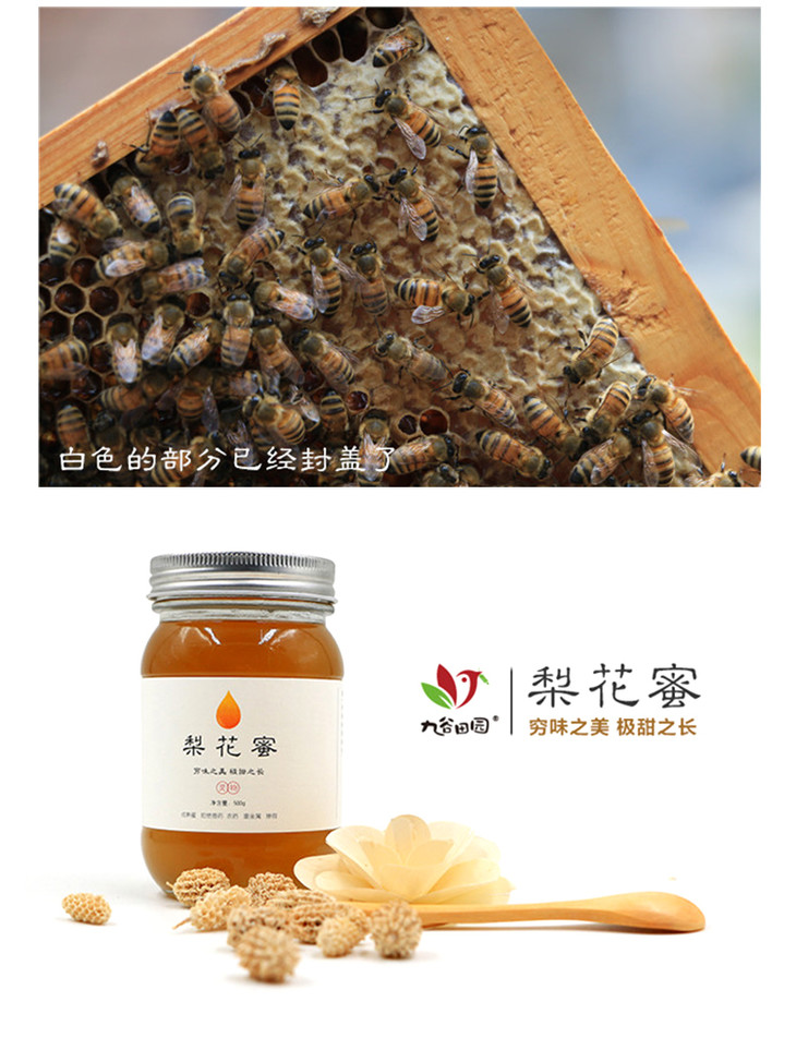 九谷田园野生梨花蜜500g酶活性高达737
