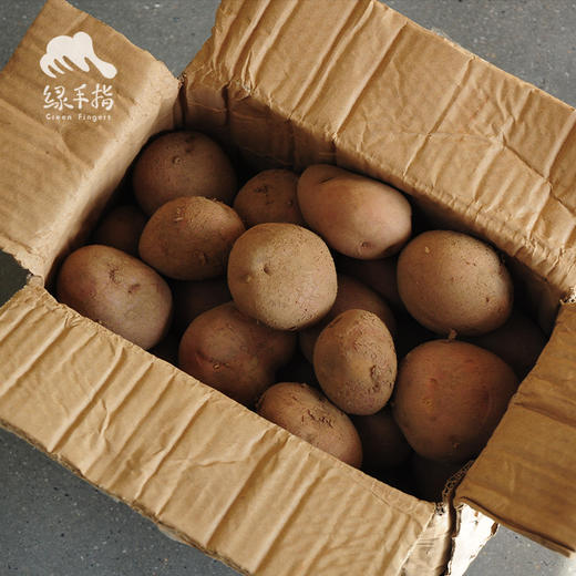 生态土豆 | 合作生产 * Eco-potato | Coproduction 商品图5