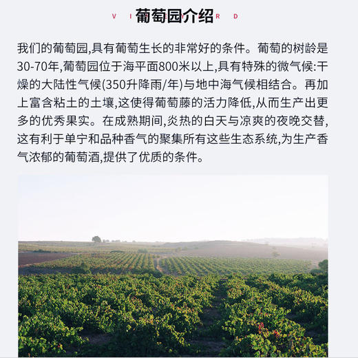 爱慕甜红起泡葡萄酒 西班牙原瓶 商品图4