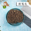 中药材批发 红毛七 四川  1000克/500克 商品缩略图0