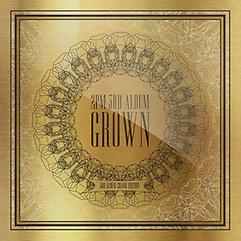 2PM第三册成长版[豪华版] JYP韩国艺人明星周边2013年专辑JPY带授权招加盟代理 商品图0