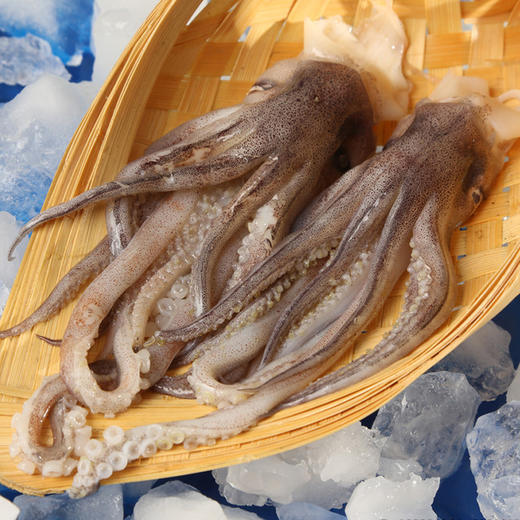 (YSD)鱿鱼须 去头 500g 商品图2