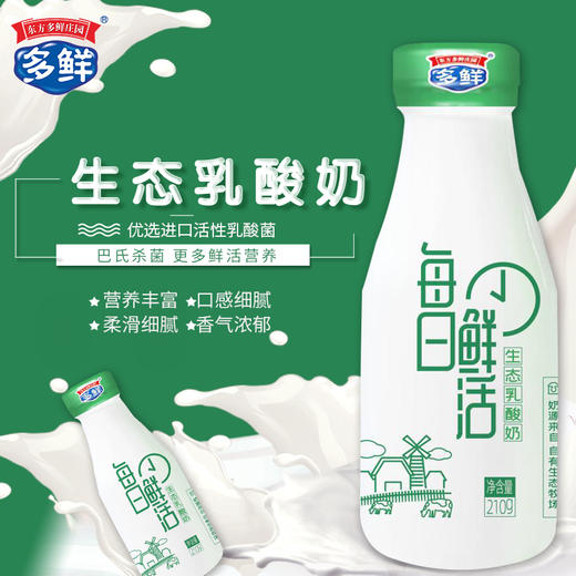 多鲜生态乳酸奶210g（月套餐，每天配送）【订30天送2袋多鲜巴氏鲜牛奶】 商品图1