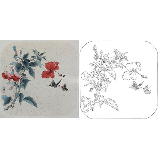 工笔画白描底稿 盘虎杰 花鸟-斗方小品册页- HJ19 商品图0