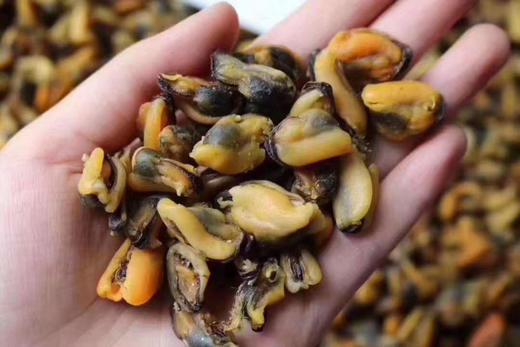 淡菜干 商品图5