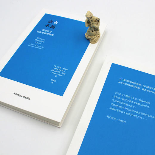 滴水不漏 学位论文写作与答辩指南 论文写作指导 掌握论文核心语法 实用 便携 论文伴侣 正版 华东师范大学出版社 商品图2