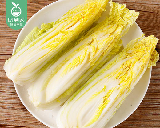 云南高山大娃娃菜（1.5kg±100g/份） 商品图4